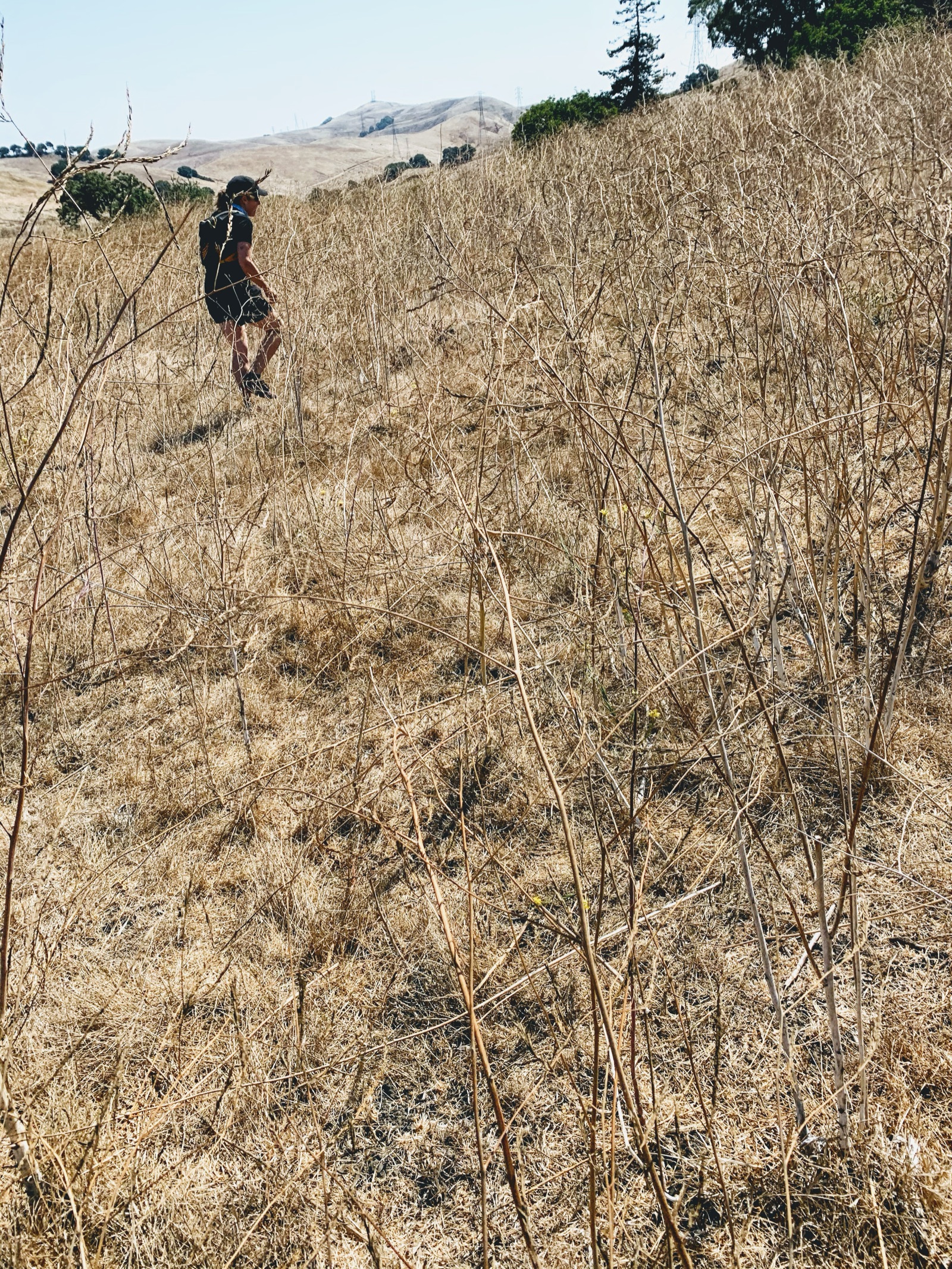 Segment 25, photo 6