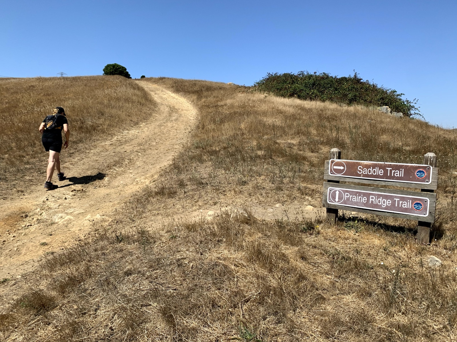 Segment 25, photo 7