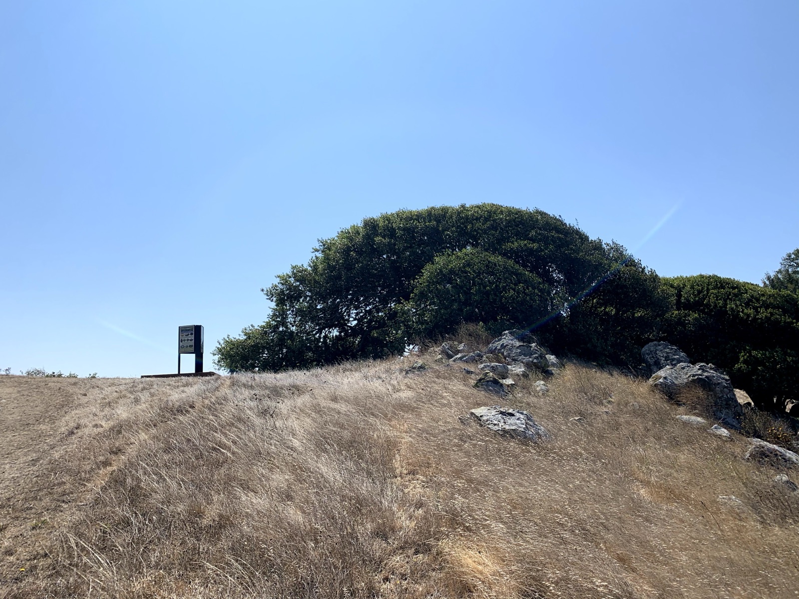 Segment 25, photo 10