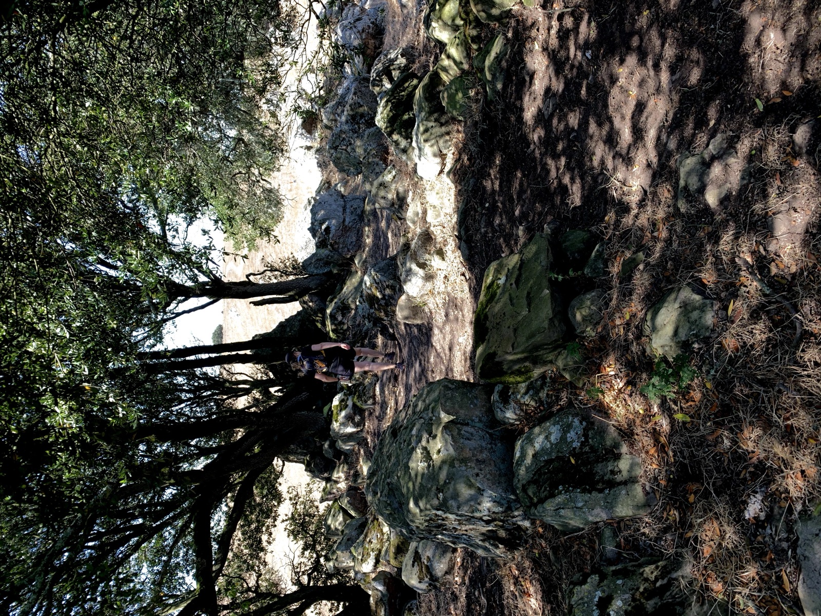Segment 25, photo 12