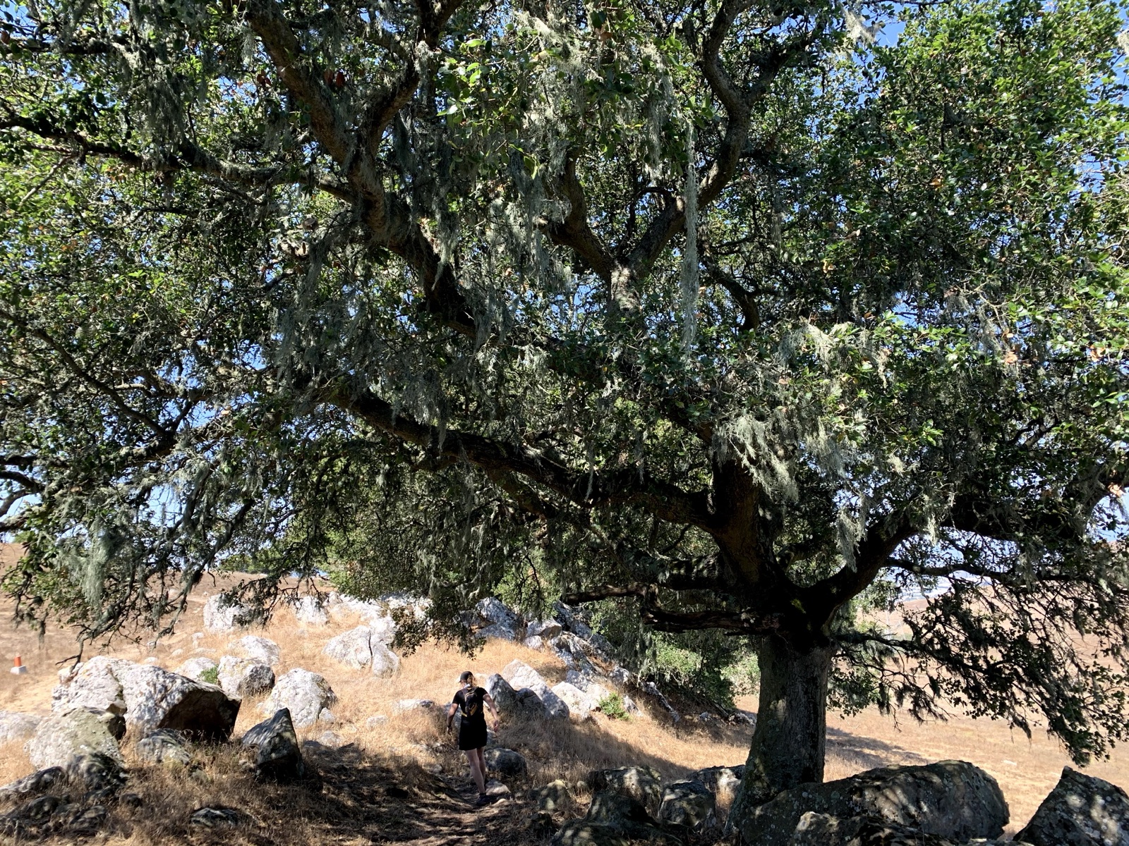 Segment 25, photo 13