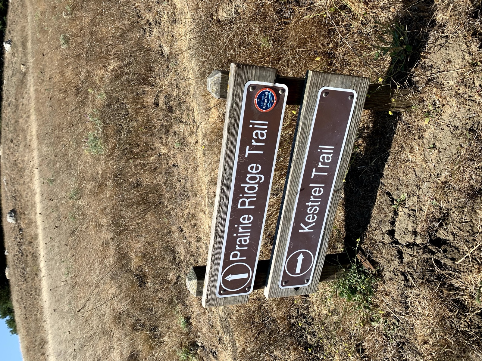 Segment 25, photo 14