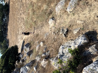 Segment 25 photo 11
