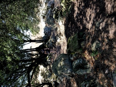 Segment 25 photo 12