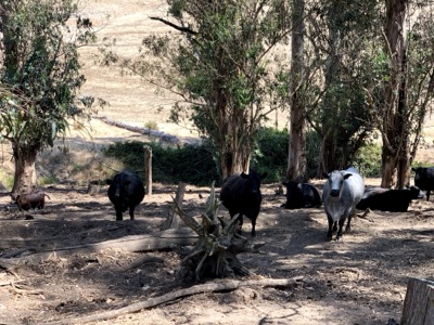 Segment 25 photo 15