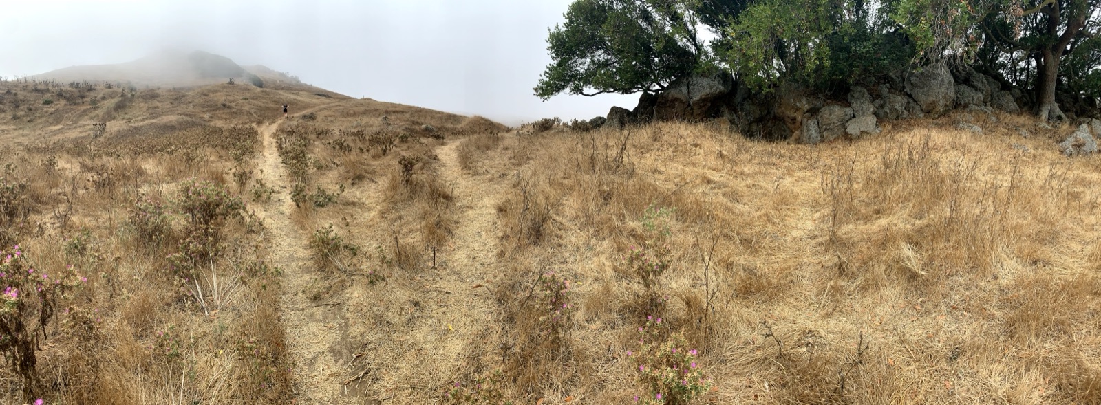 Segment 26, photo 7