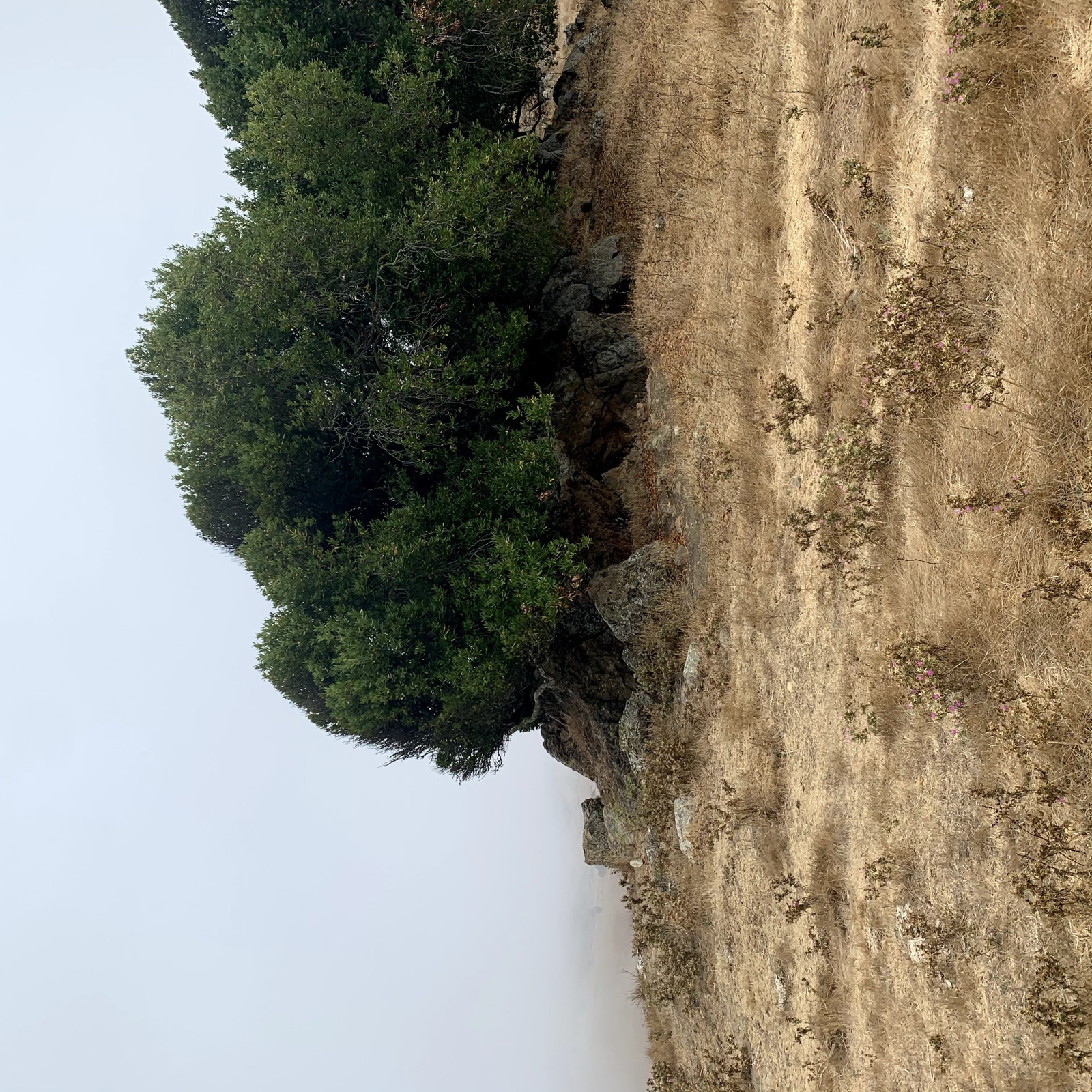 Segment 26, photo 9