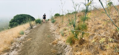 Segment 26 photo 4