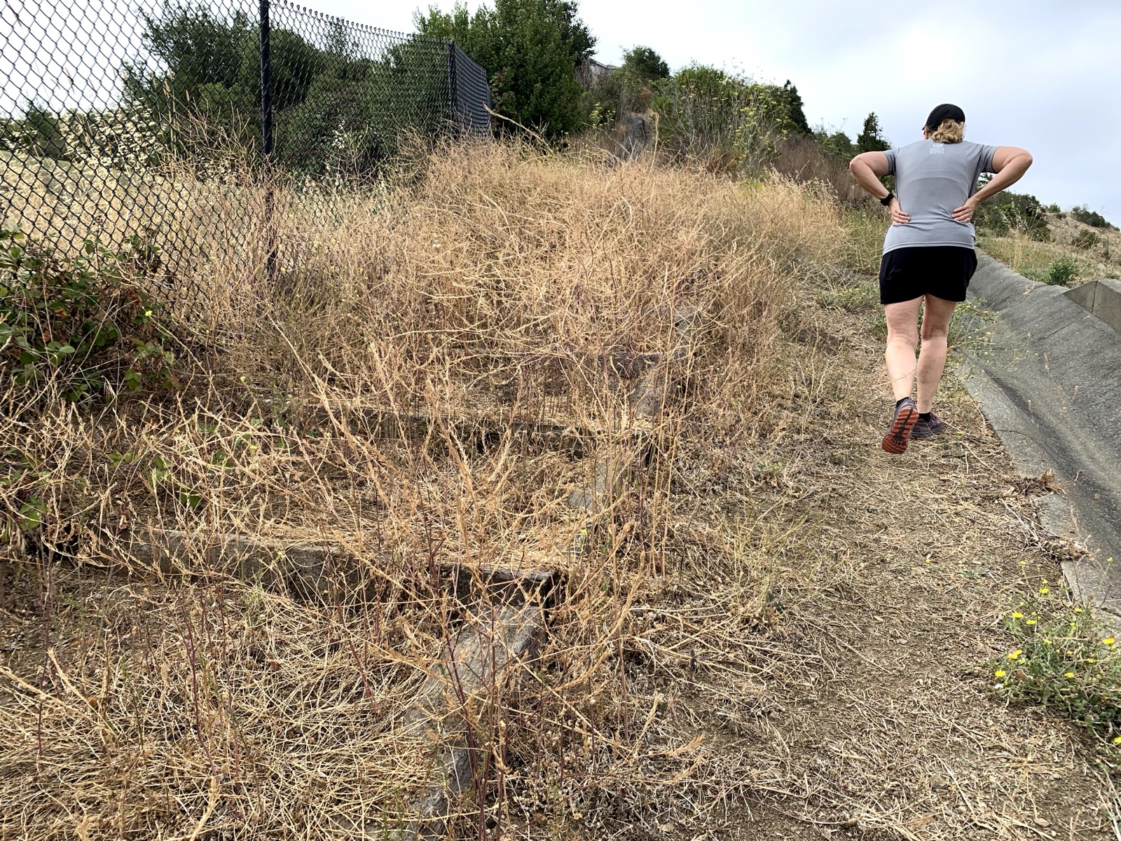 Segment 27, photo 3
