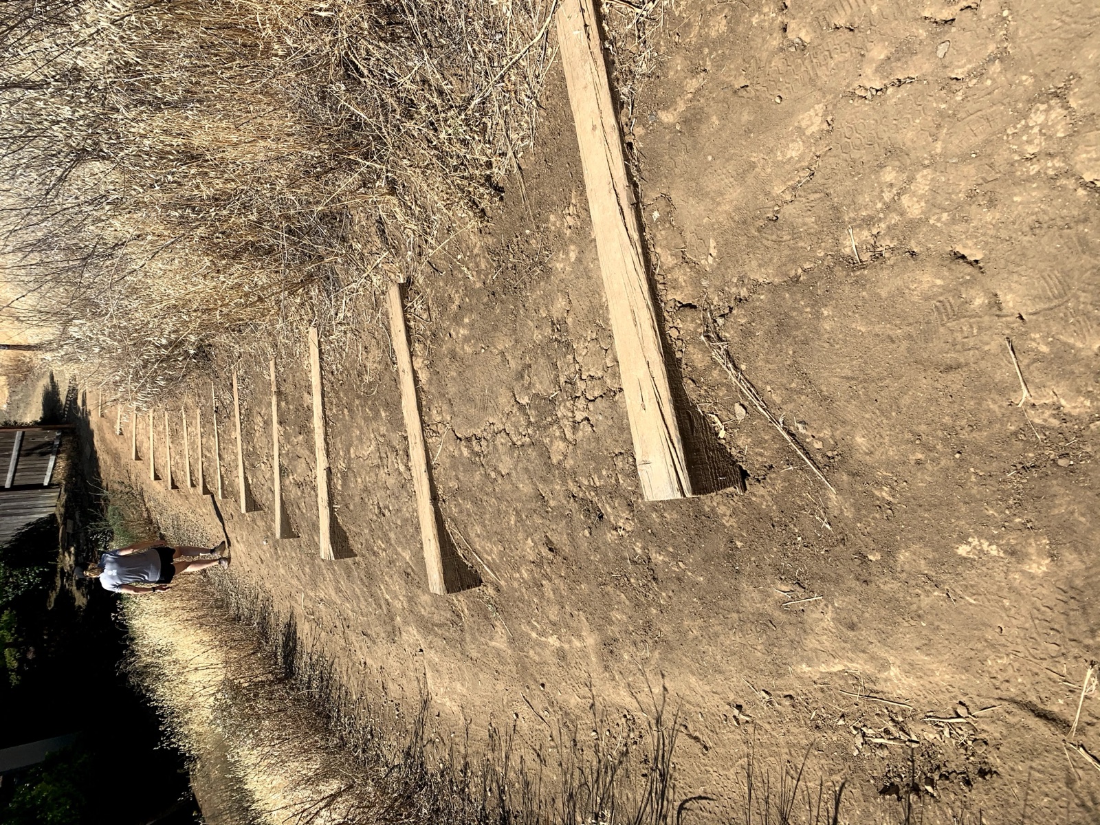 Segment 27, photo 12