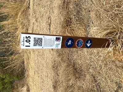 Segment 27 photo 2