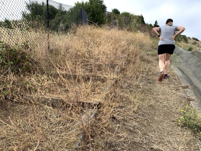 Segment 27 photo 3