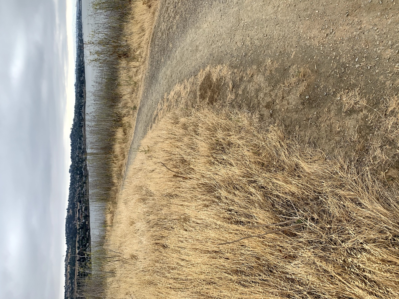 Segment 28, photo 6