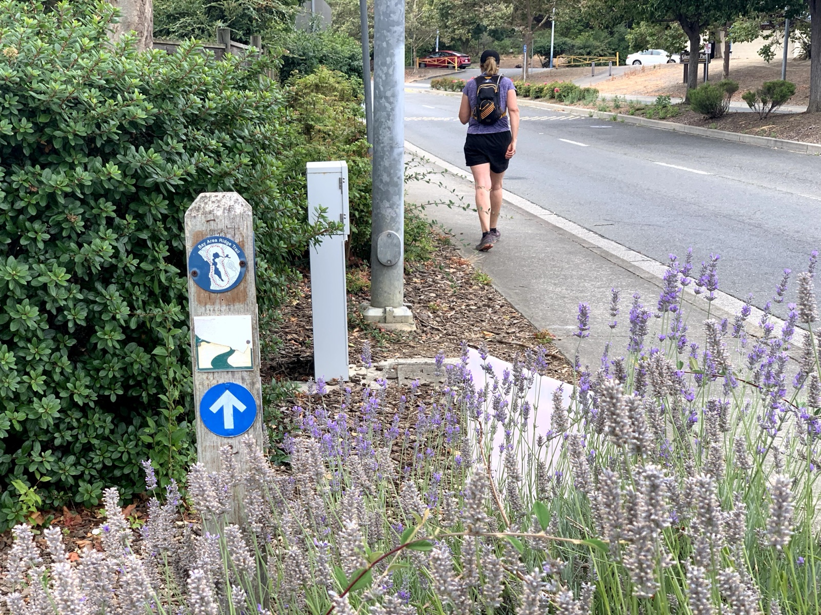 Segment 28, photo 7