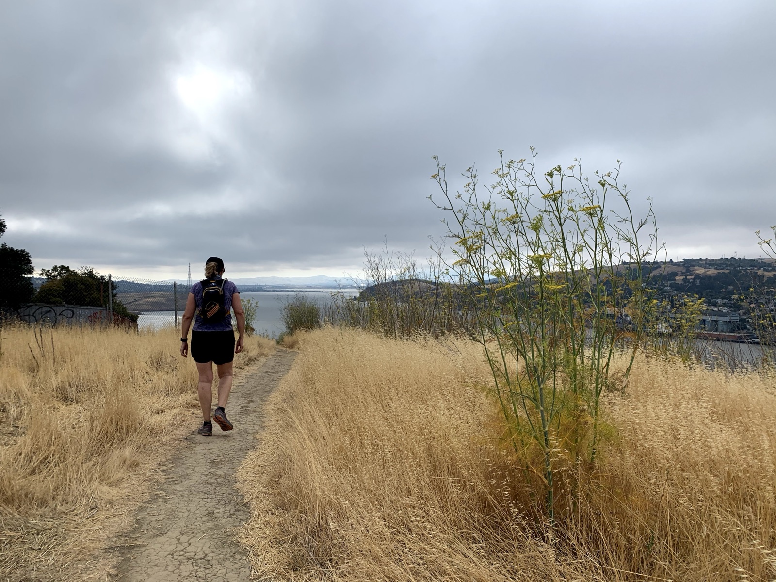 Segment 28, photo 10