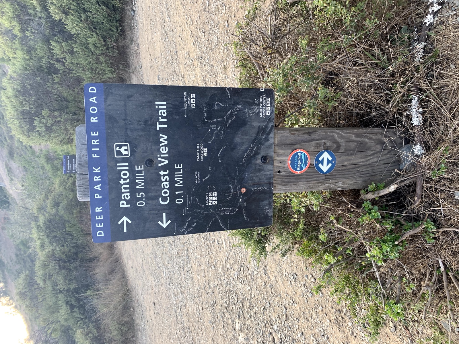 Segment 3, photo 9