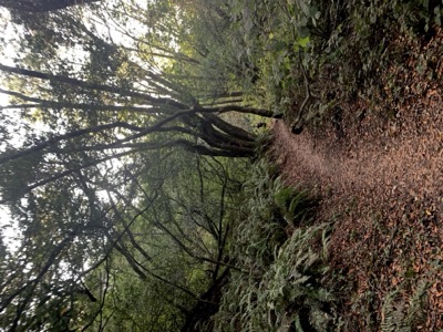 Segment 3 photo 3