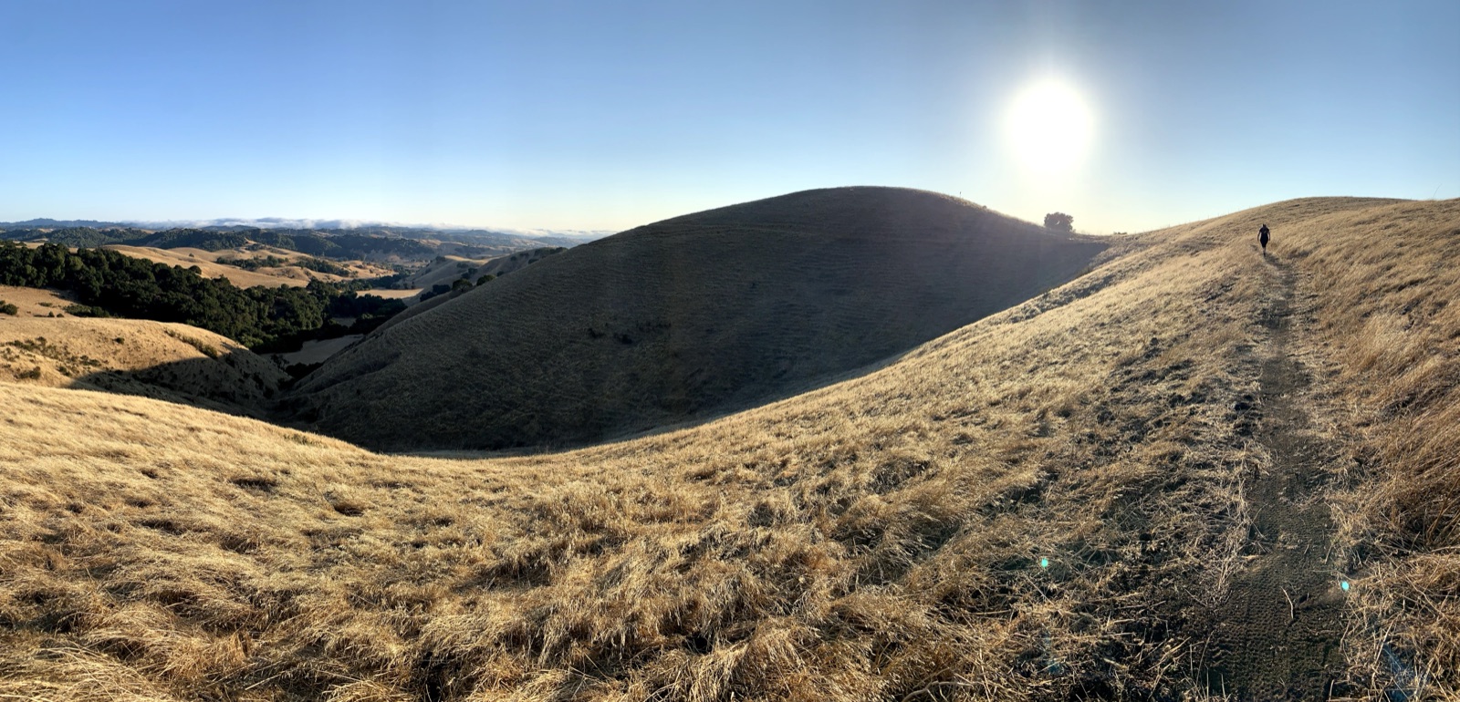 Segment 30, photo 6