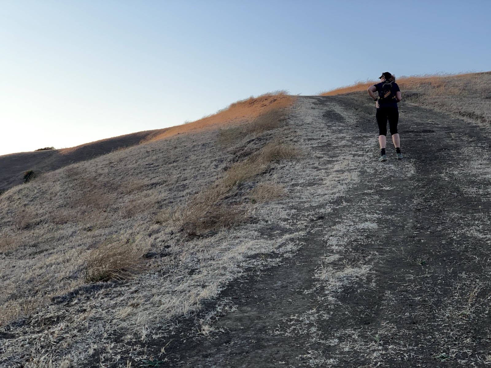 Segment 30, photo 11