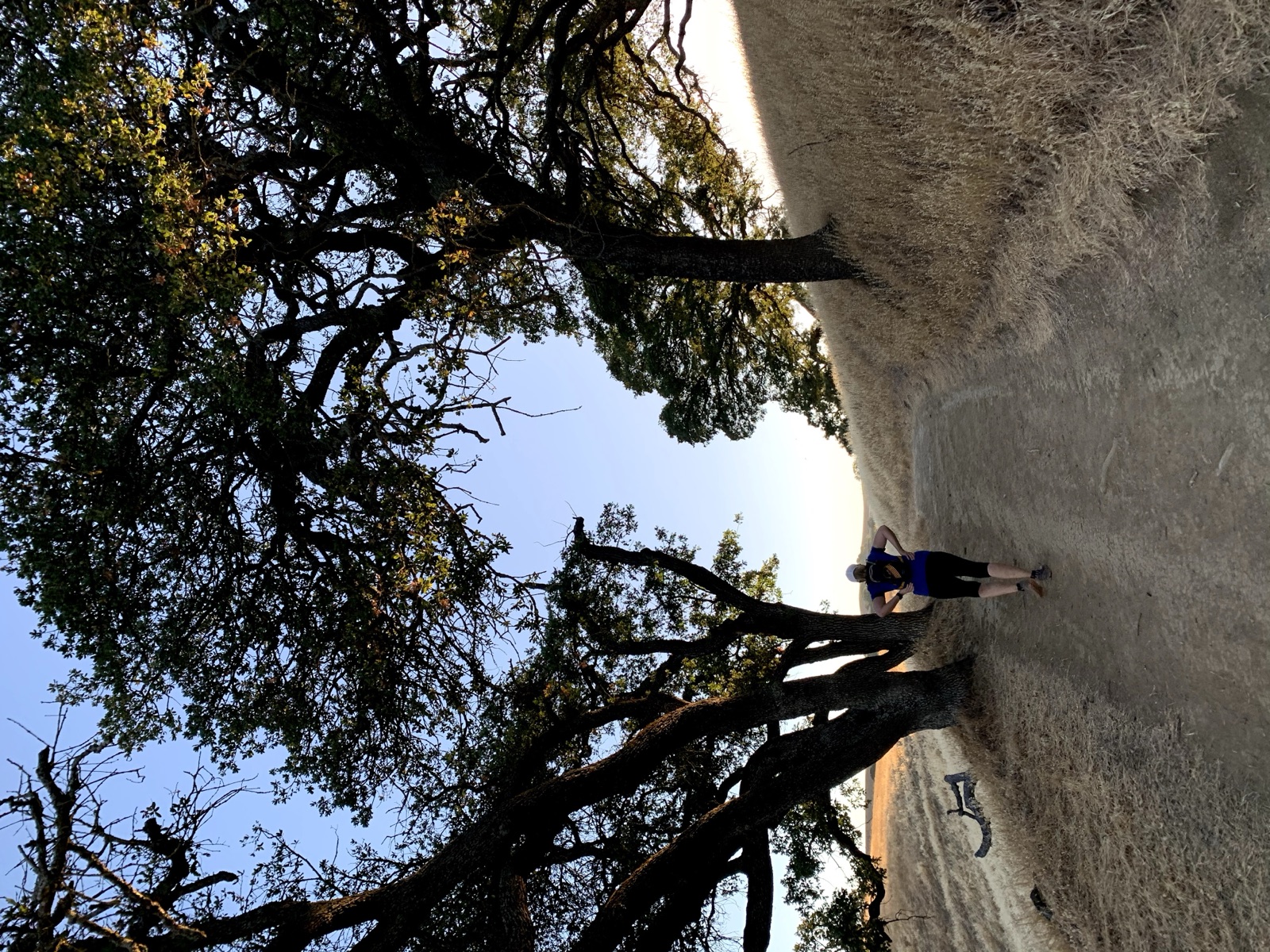 Segment 32, photo 20
