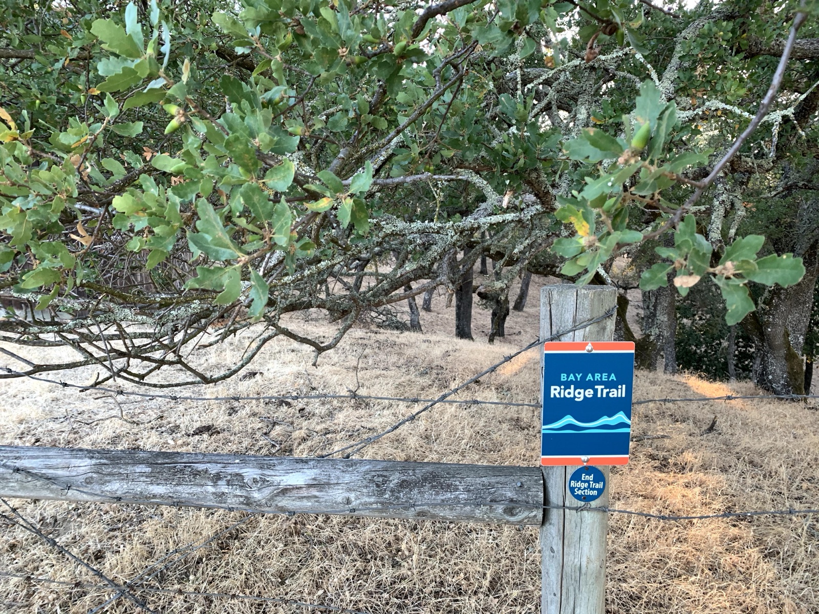Segment 32, photo 23