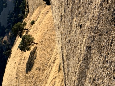 Segment 32 photo 12
