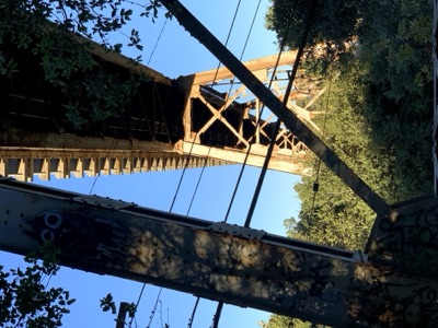 Segment 32 photo 17