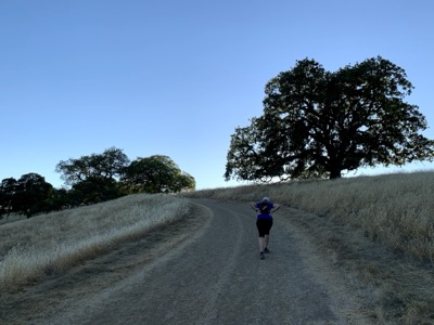 Segment 32 photo 19