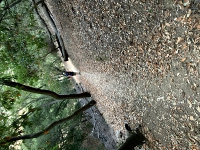 Segment 32 photo 24