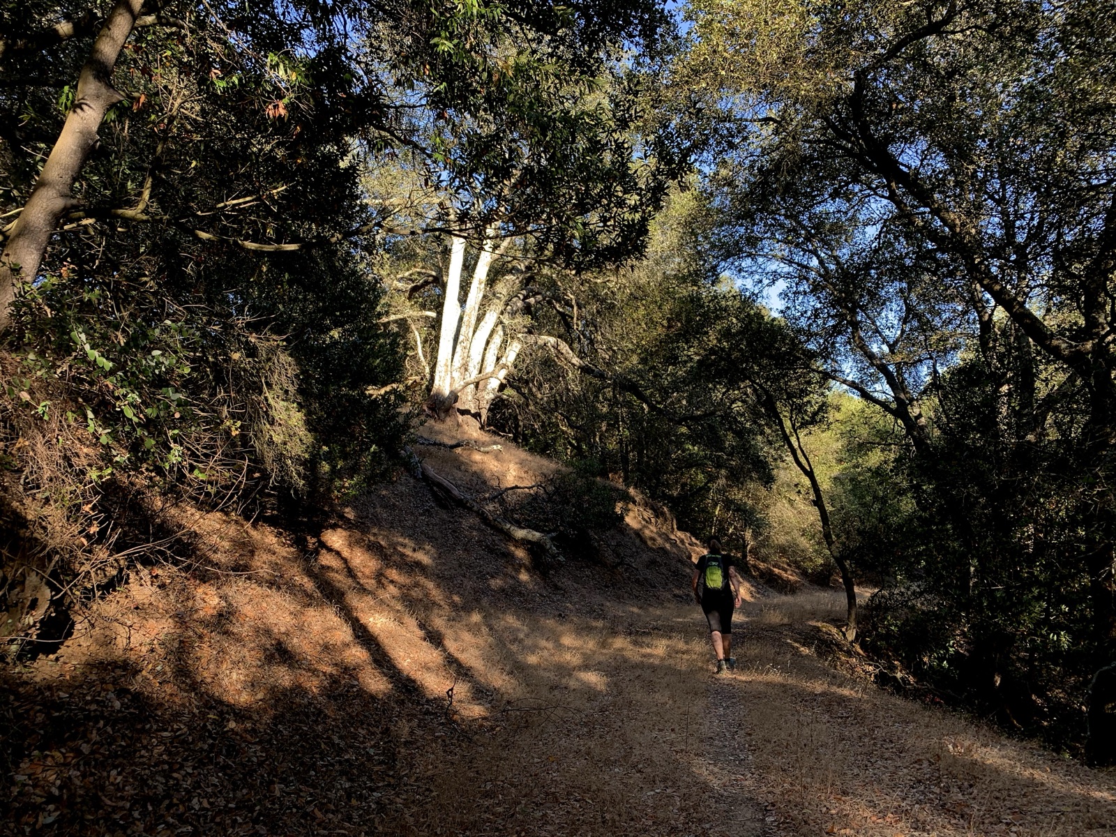 Segment 33, photo 8