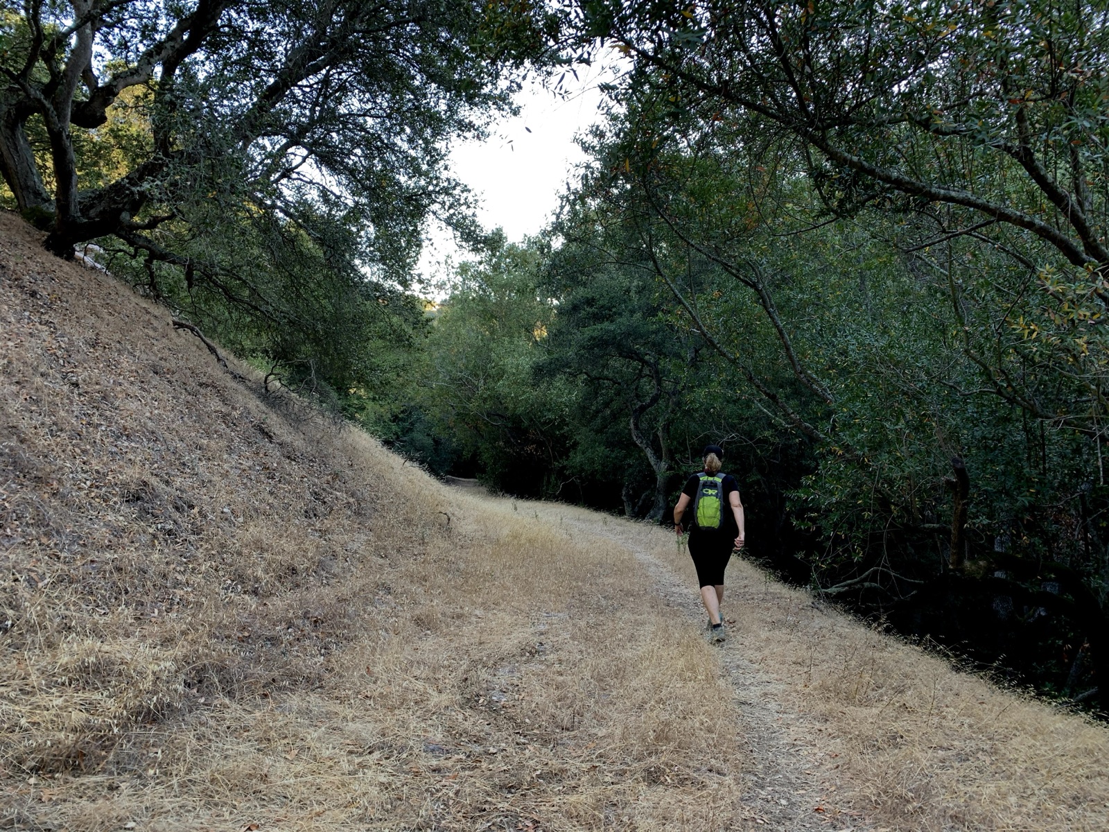 Segment 33, photo 9