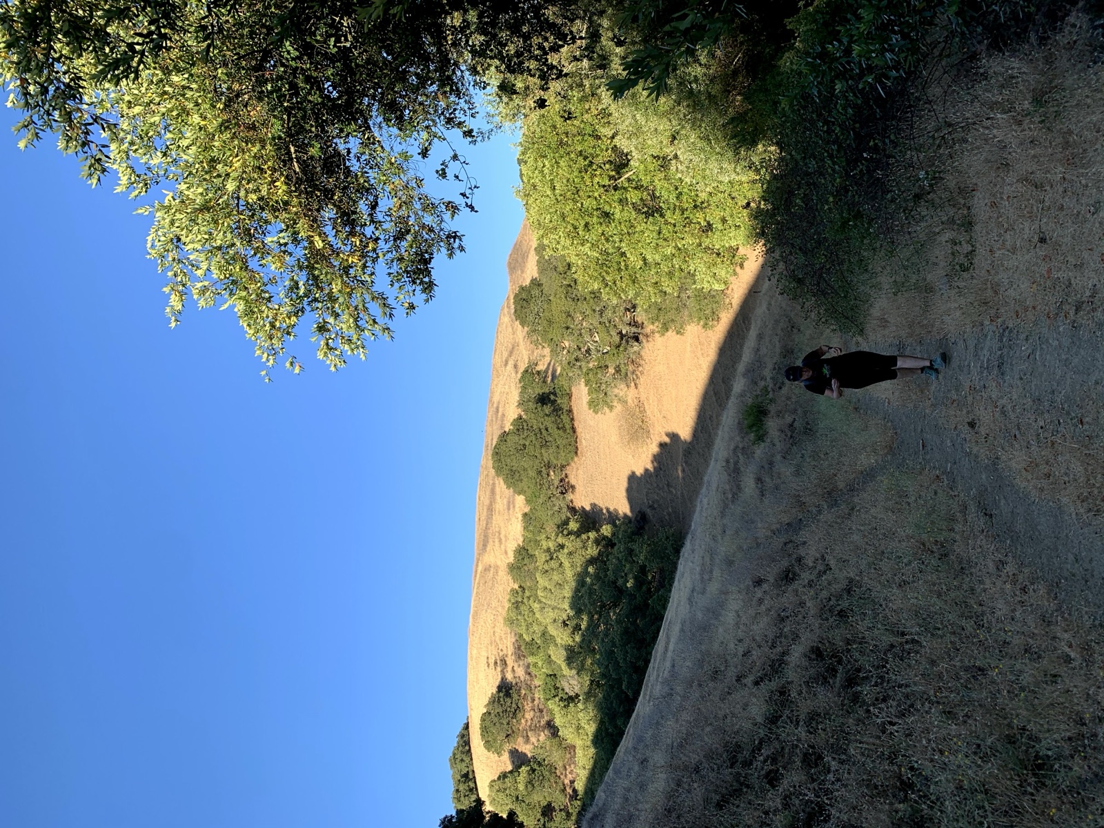 Segment 33, photo 11