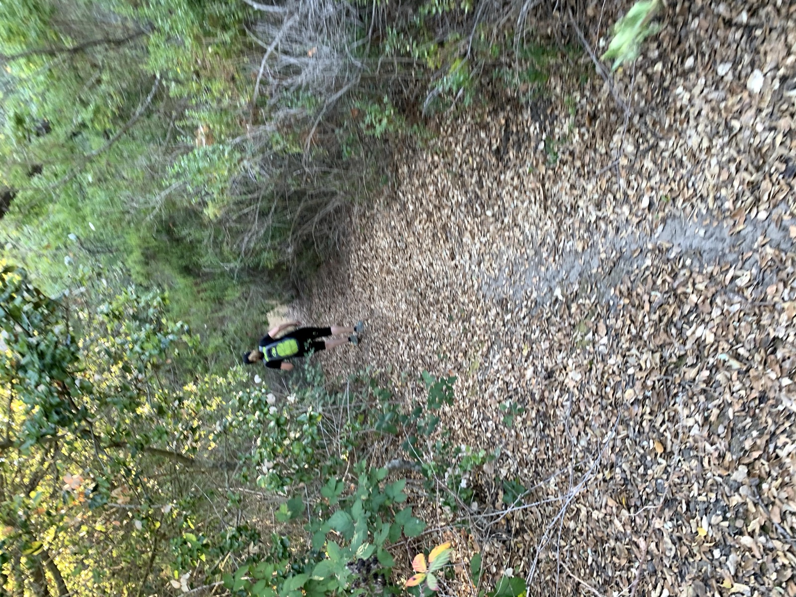Segment 33, photo 15