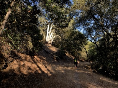 Segment 33 photo 8