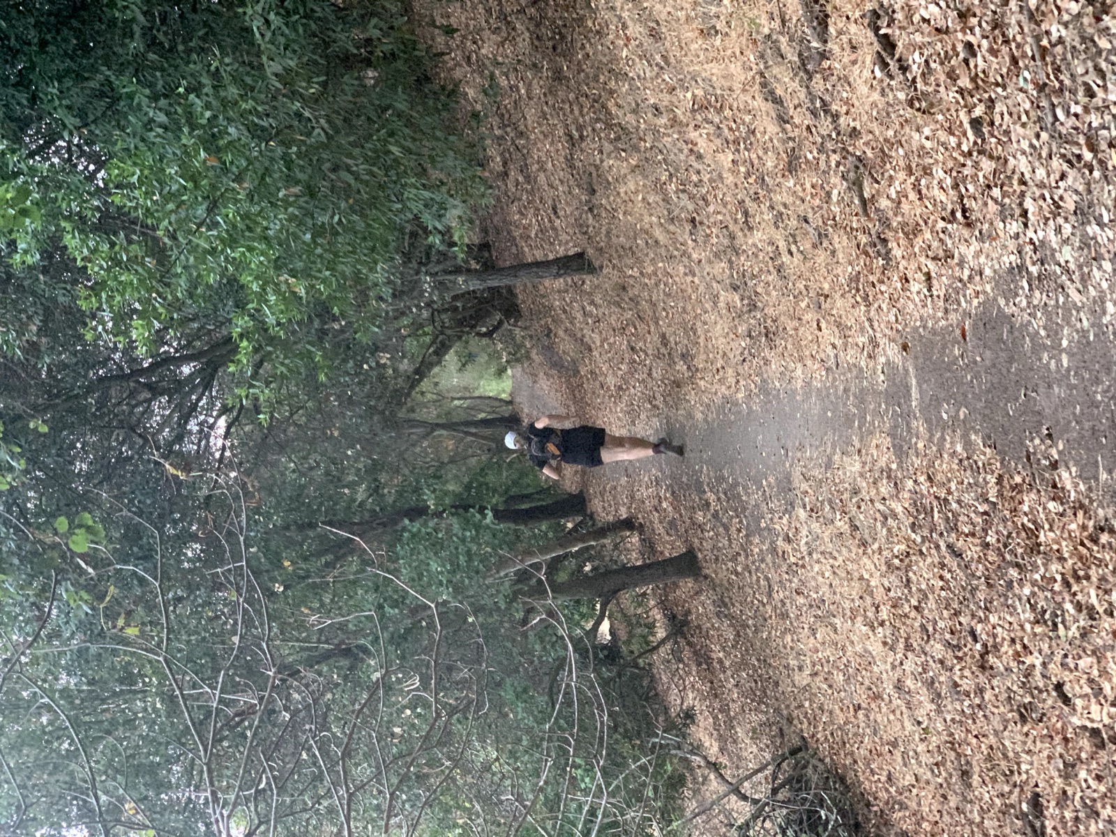 Segment 34, photo 5