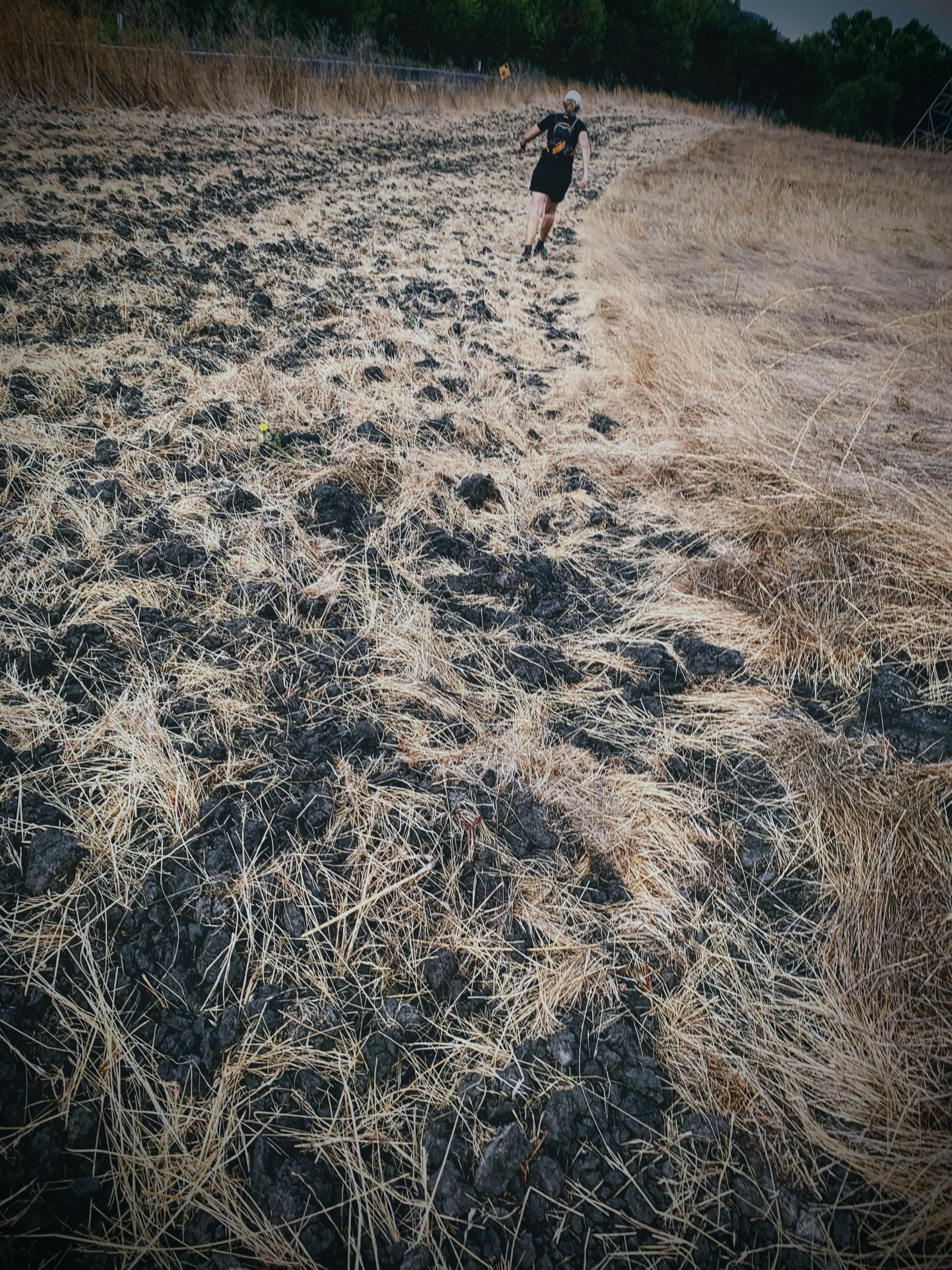 Segment 35, photo 8