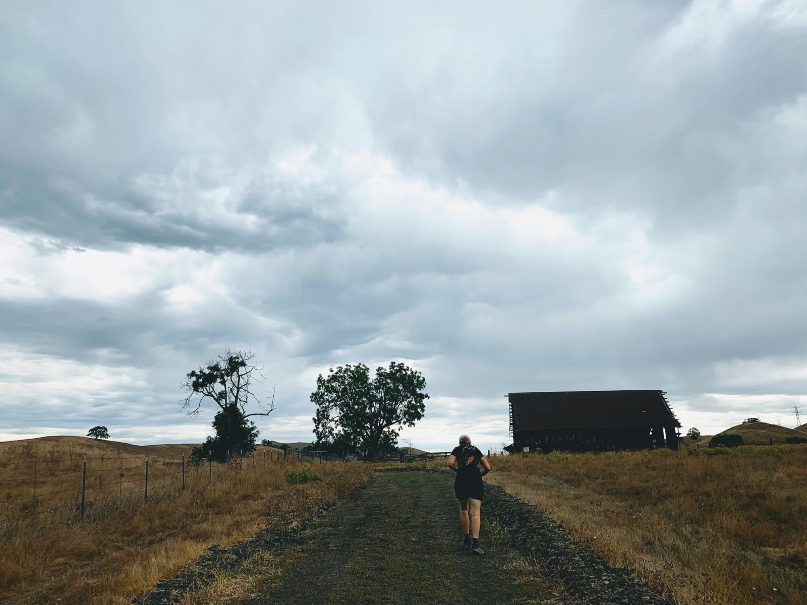 Segment 35, photo 9