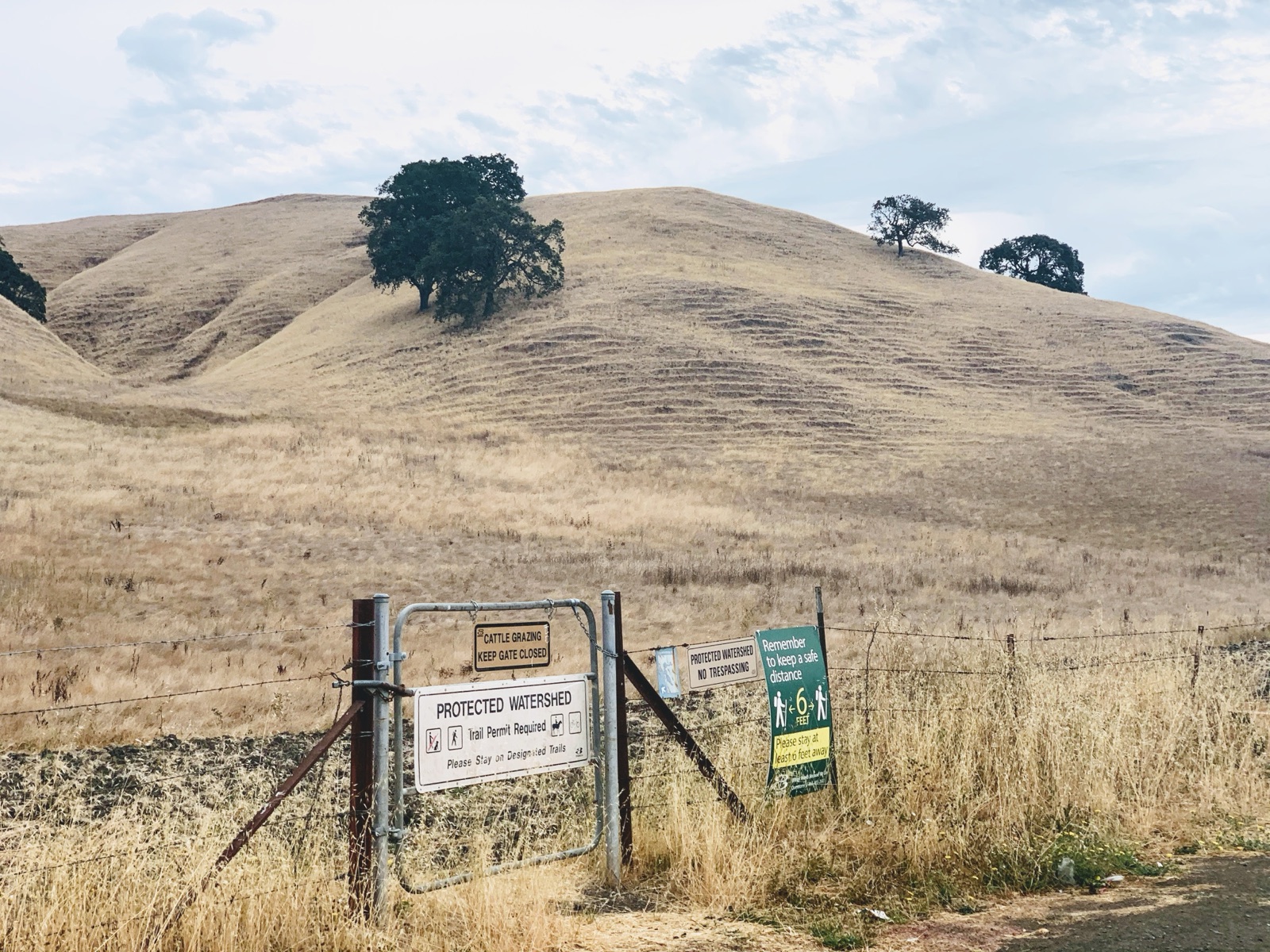Segment 35, photo 15