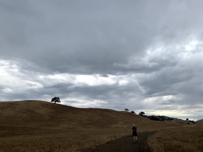 Segment 35 photo 10