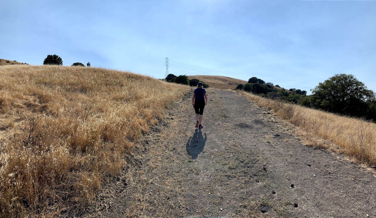 Segment 36, photo 1