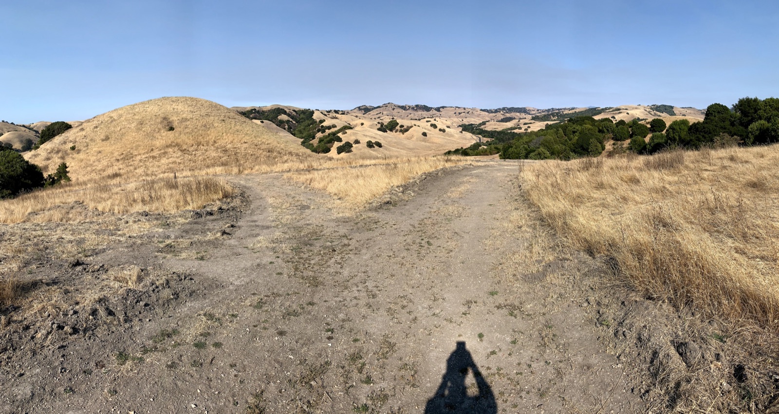 Segment 36, photo 2