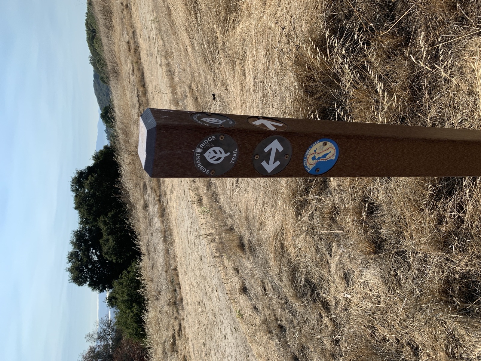 Segment 36, photo 5