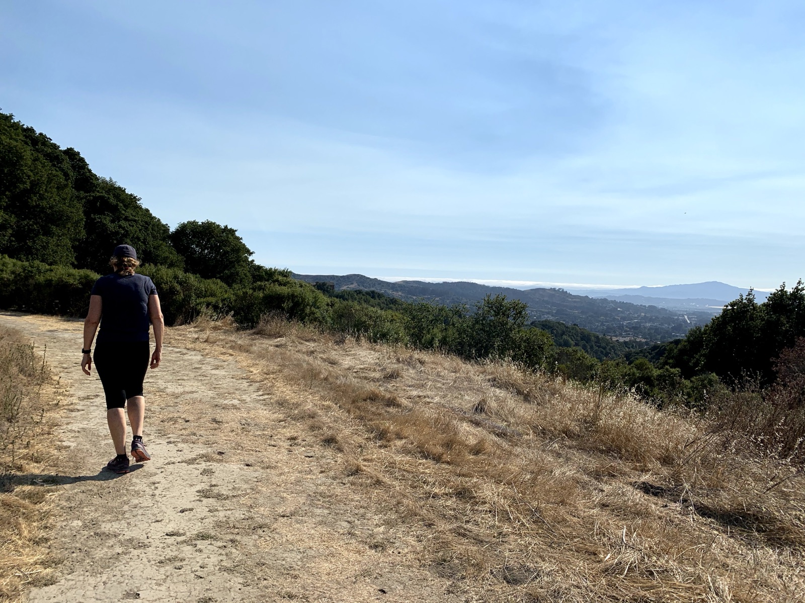 Segment 36, photo 6