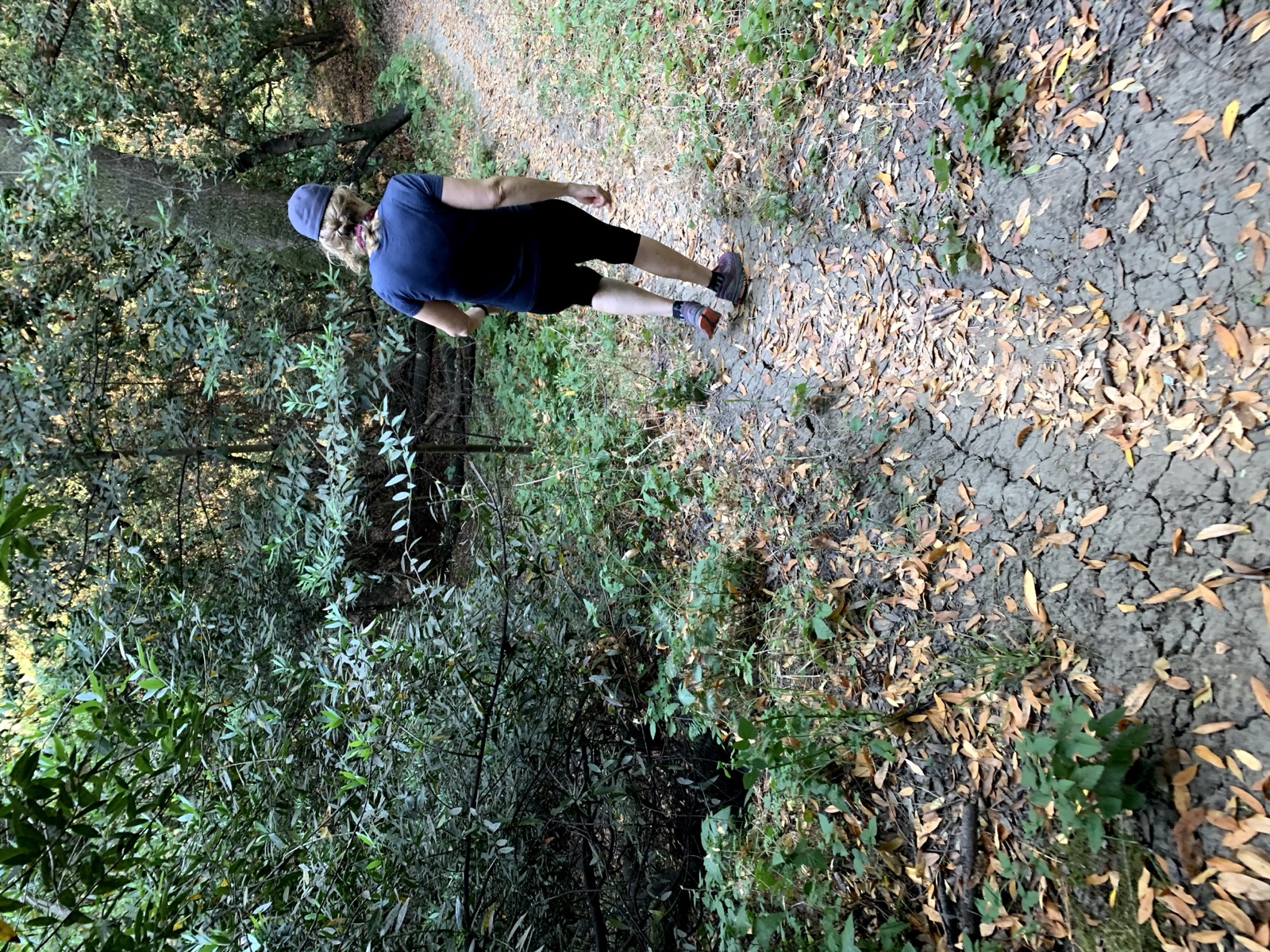 Segment 36, photo 9