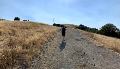 Segment 36 photo 1
