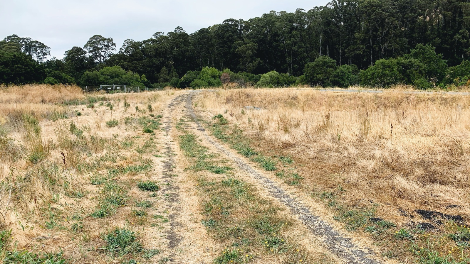 Segment 37, photo 1