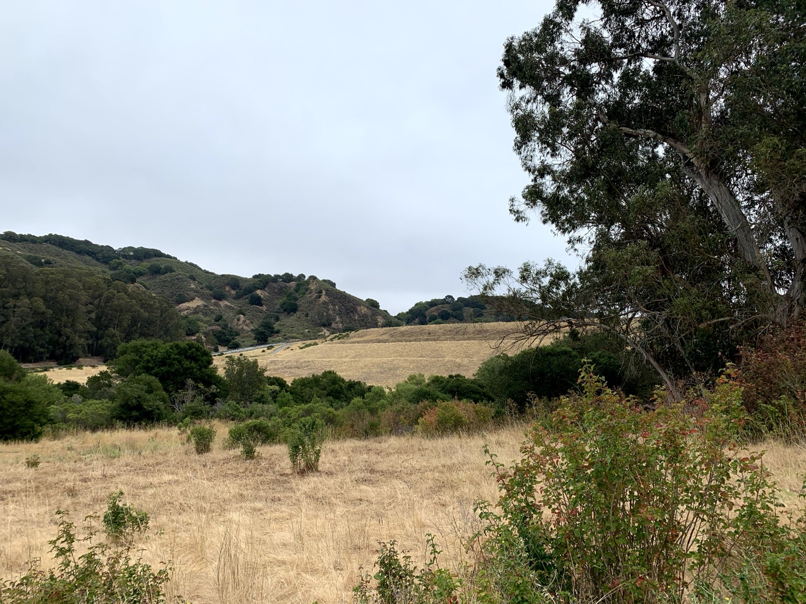 Segment 37, photo 3