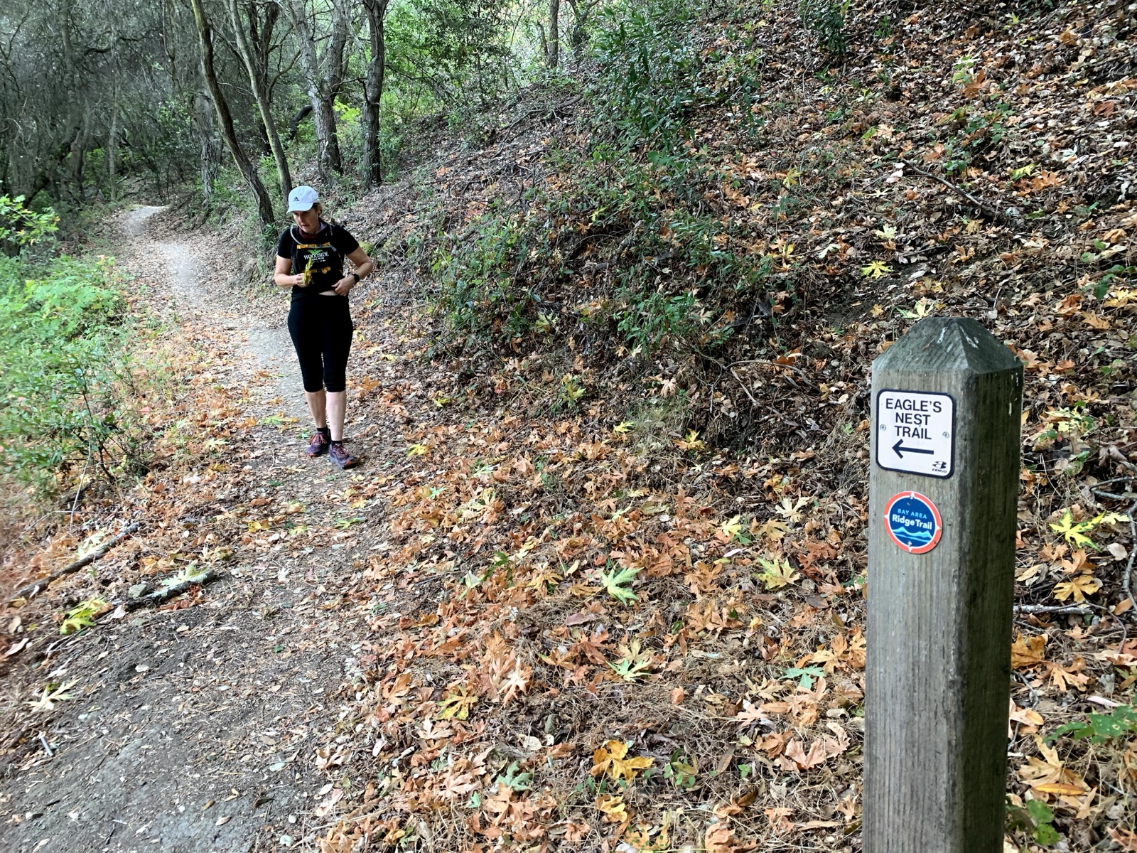 Segment 37, photo 5