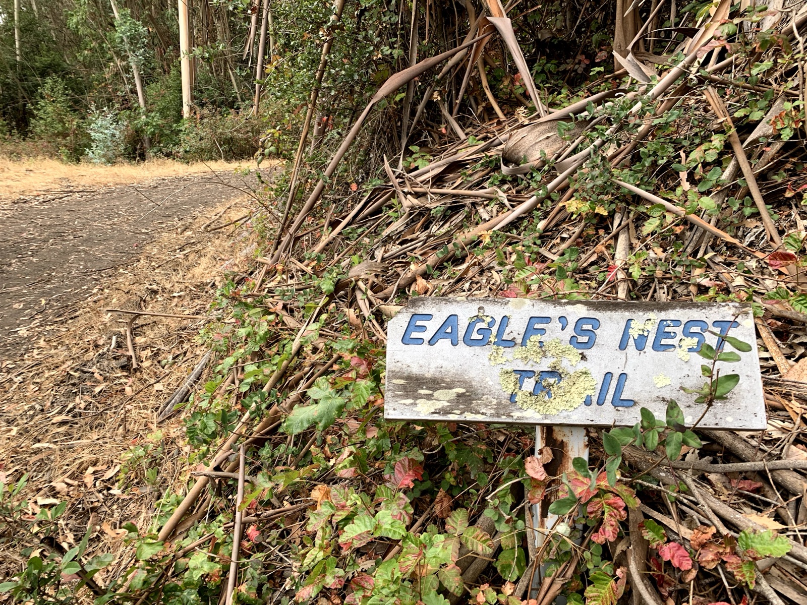 Segment 37, photo 7