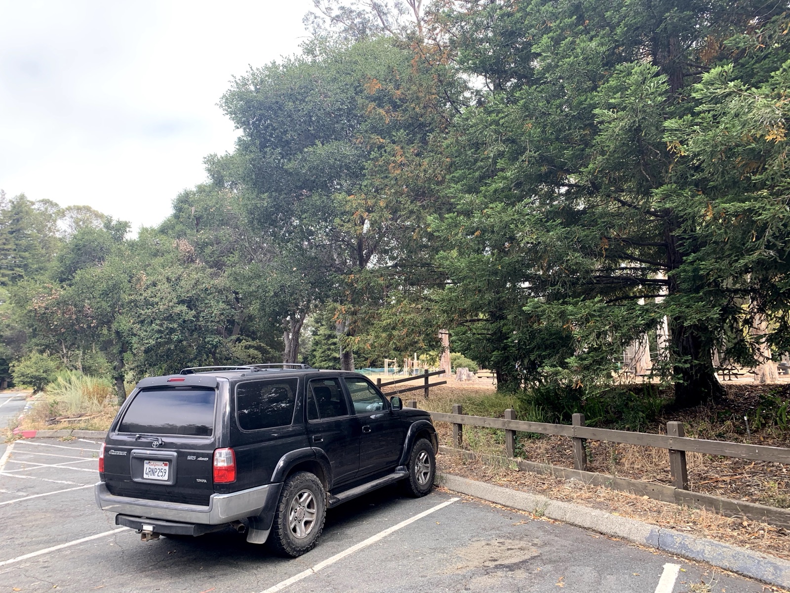 Segment 37, photo 10